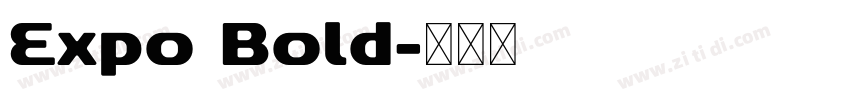 Expo Bold字体转换